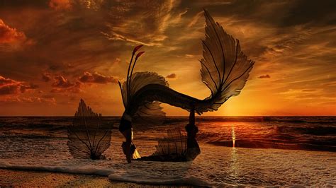 Download Mermaid Silhouette Sunset Royalty Free Stock Illustration