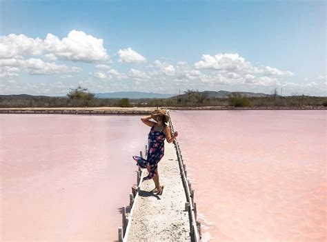 Las Salinas Cabo Rojo The Salt Flats Of Puerto Rico Hkftd