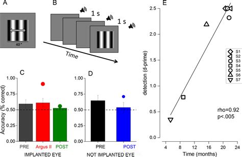 Psychophysical experiment. (A) and (B) Examples of stimuli used in the ...