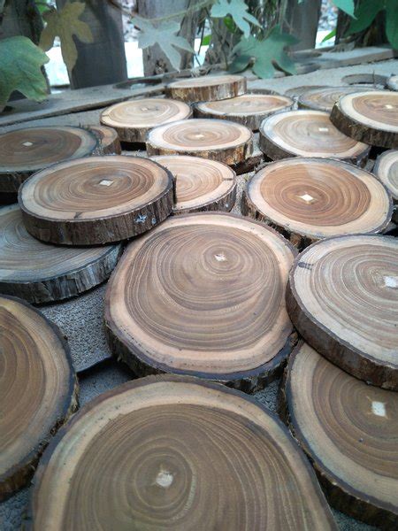 Jual Teak Wood Slice Tatakan Kayu Jati Diameter 14 15 Cm Potongan