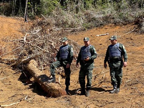 Operação da Polícia Ambiental identifica crimes ambientais em Santa