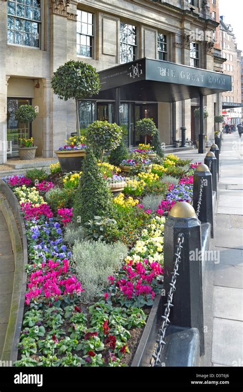 Jw Marriott Grosvenor House Luxushotel In Park Lane Mayfair Blumen Und