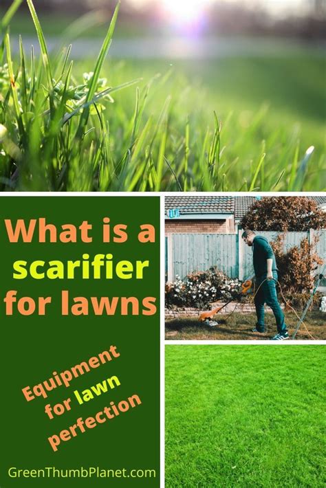 What Is A Scarifier For Lawns? | Lawn equipment, Dethatching lawn ...