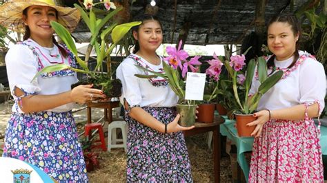 XXVII Festival de la Orquídea Moyobamba 2022 Noticias