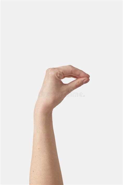 Invisible Object Holding Female Hand On White Stock Image Image Of