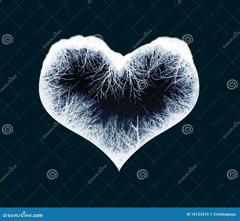 Frozen Heart Royalty Free Stock Photo Image 18124215