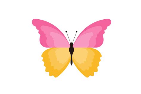 Butterfly Pink And Yellow Wings Graphic By Dgkartt · Creative Fabrica