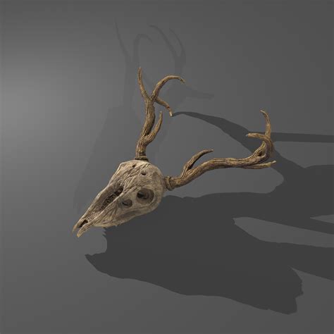 Stag Skull 3d Model By Get Dead Entertainment