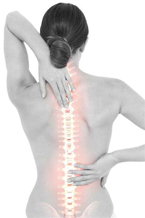 Naked Woman Rear View Stock Photos Free Royalty Free Stock Photos From Dreamstime