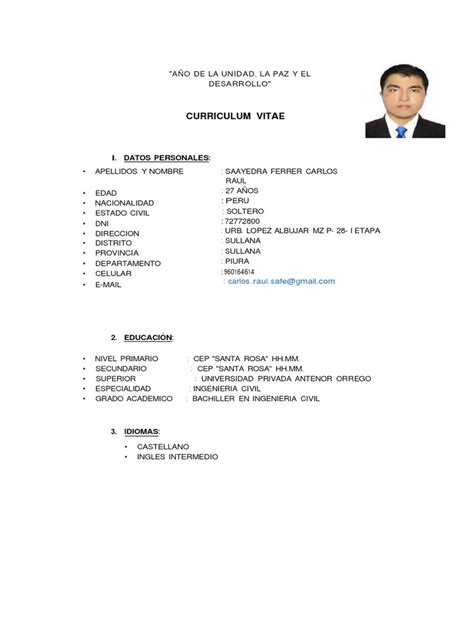 Cv Carlos Saavedra Ok Pdf Ingeniería