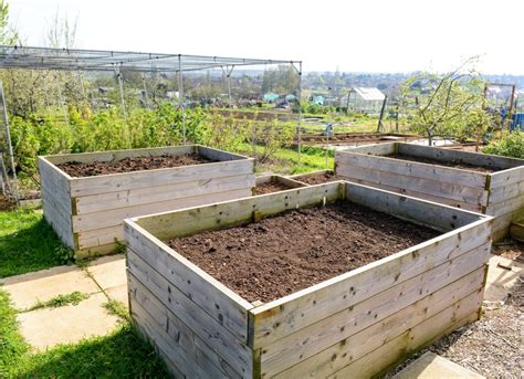 How Deep Should A Raised Garden Bed Be Storables