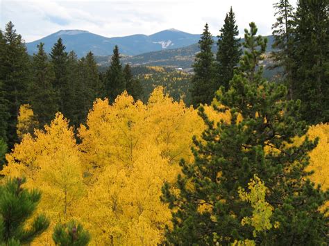 Come what come may: Golden Gate Canyon State Park is Truly Golden!