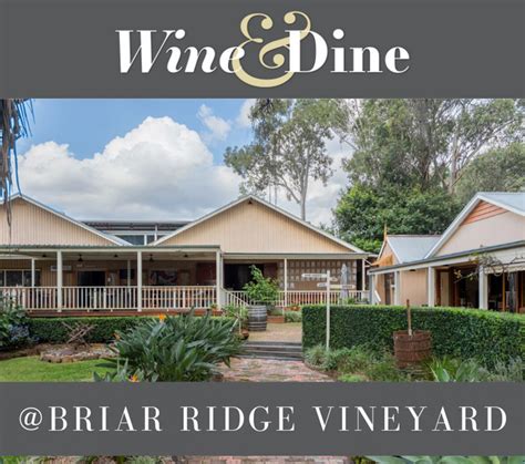 Briar Ridge Vineyard Blog Travel The Mount View Wine Dine Trail Today