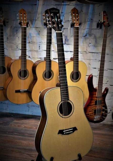 Акустическая гитара с чехлом Parkwood S21-GT | Festima.Ru – частные ...
