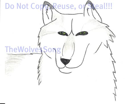 Female Wolf Colored Grace By Thewolvessong On Deviantart