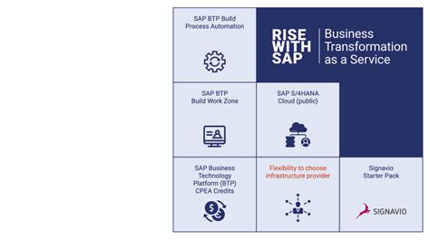 Rise With Sap Tailored To Your Needs