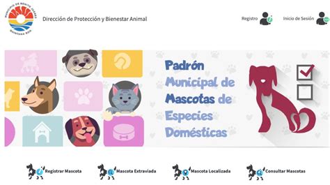 Presenta Errores Plataforma Para Registro De Mascotas De Canc N La