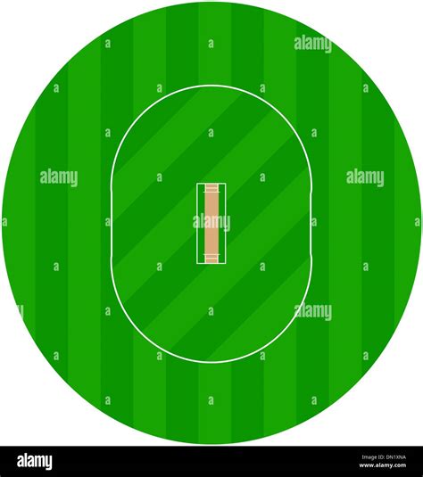cricket ground stock vector images alamy