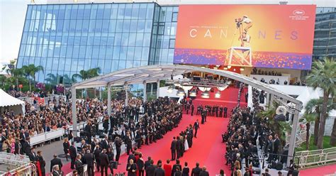 How might the international film festival circuit be transformed by the