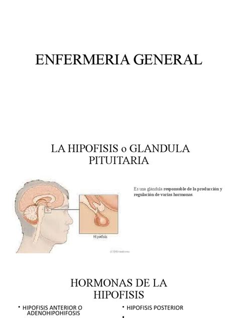 Enfermeria General Pdf Hormona Adrenocorticotrópica Glándula