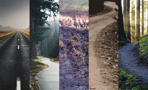 Home Naked Bicycles Design