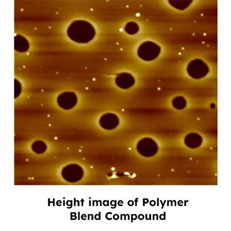 Atomic Force Microscopy | Hasetri Lab