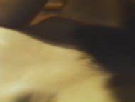 Playgirls Of Munich Nude Pics Page