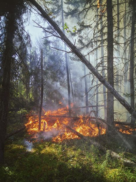 Impacts of Climate Change – Building Resilient Rural Communities