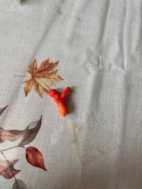 Rare Y Shaped Flaming Hot Cheeto EBay