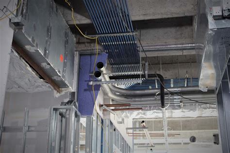 USF Health Morsani College of Medicine