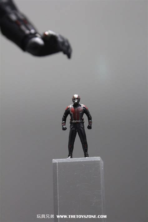 新品消息 Hot Toys蟻俠蟻俠 Ant Man 1 6 珍藏人偶 Toys Zone D 玩具兄弟 Figures Price List Reviews