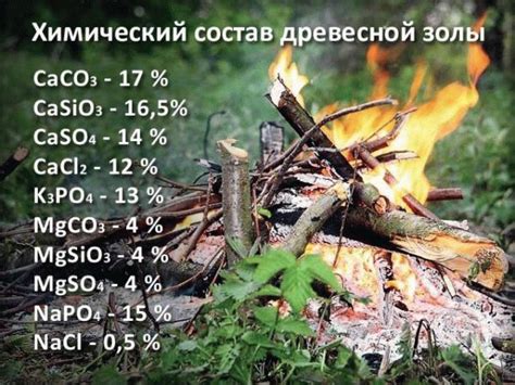 Древесная зола как удобрение: как применять на огороде, польза и вред ...