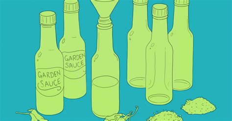 Face Melting Hot Sauce Gift Sets For Chili Heads Dodo Burd