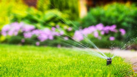 Best Garden Sprinklers The Easy Way To Keep Your Lawn And Borders