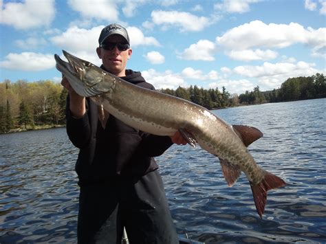 The subway promo unexpected catch was revealed by angry diners 27