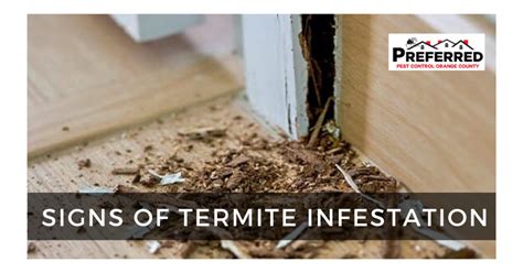 Signs Of Termite Infestation Orange County Pest Control