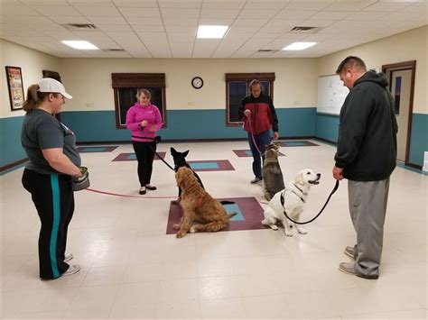 Level Obedience Dog Training Center Dogwood Pet Hotel