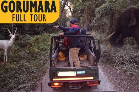 Gorumara Jungle Safari In Dooars Explore Your Trip