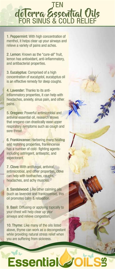 Best Doterra Products For Cold And Sinus Symptoms Essential Oils Us