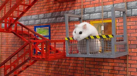 Hamster S Great Escape From The Prison Maze Homura Ham Pets Youtube