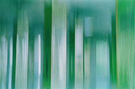 Pinon harvests are drastically changing how local families eat 9