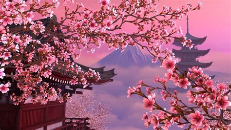 Cherry Blossom Tree Aesthetic Wallpaper Infoupdate Org