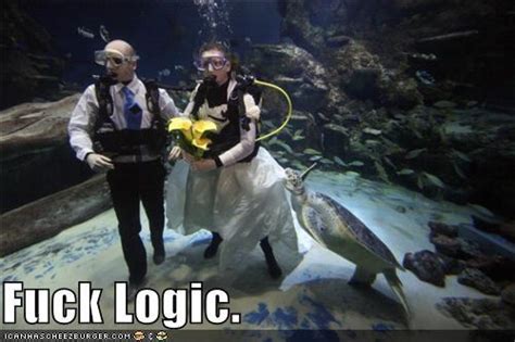 Image 226567 Fuck Logic Know Your Meme