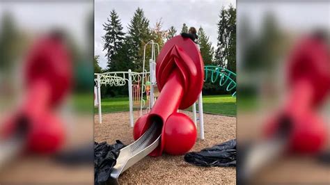 Penis Vagina Rutsche Auf Einem Kinderspielplatz Das Steckt Dahinter