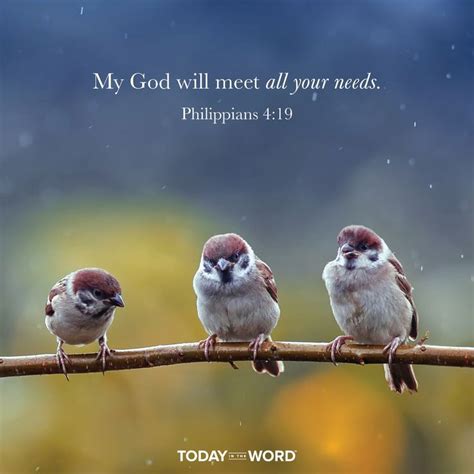 study overview artofit