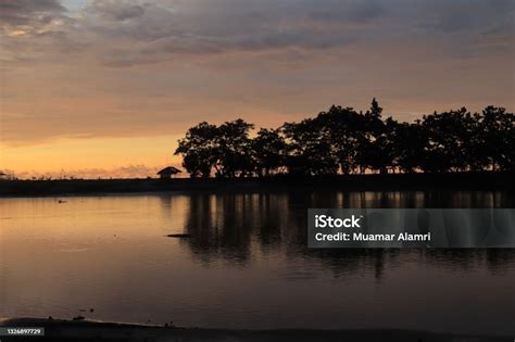 pemandangan danau  tenang  pepohonan berjajar  tepi danau foto