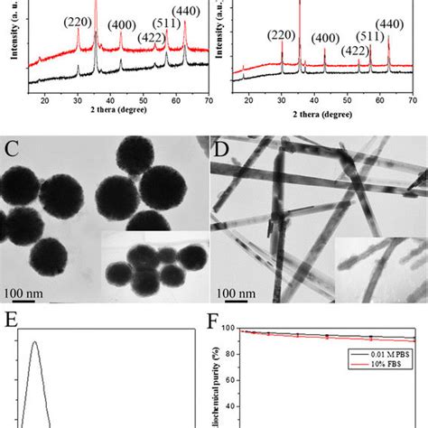 Characteristics Of Bsa Modified Mnps Xrd Spectrum Of Fe O And Sio