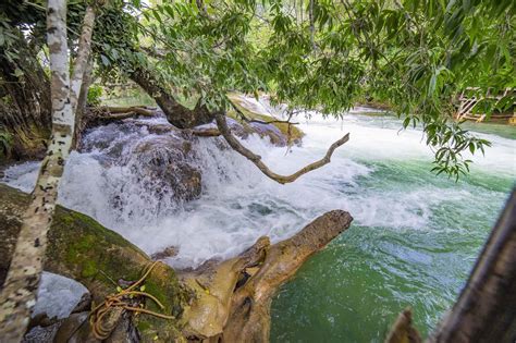 Ingressos Bosque das Águas Roteiro Bonito MS