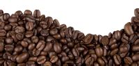 Coffee beans PNG images free download | Pngimg.com