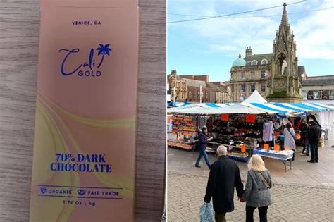 Sex Mad Dolphins Have Gay Orgies While Swimming And Use Headless Fish As Sexy Toys Daily Star